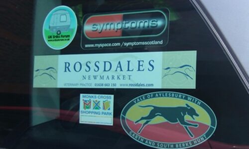 Stickers On Car & Shop Windows A Great Way To Promote Your Business