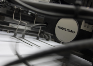 Immigration Points Based System